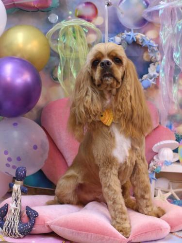 20240823グルートくん 